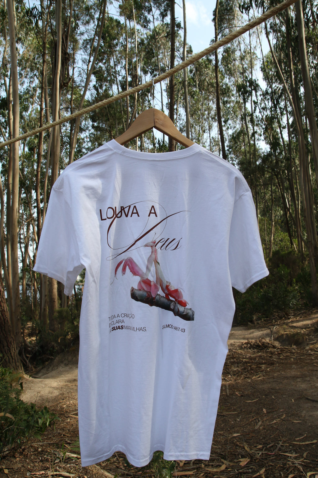 TEE "LOUVA A DEUS"