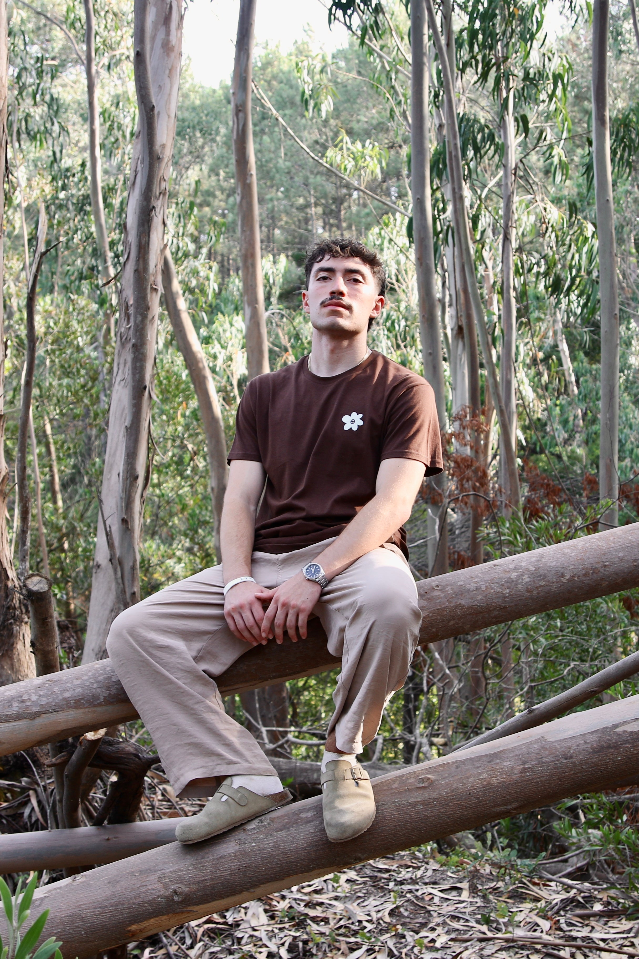 TEE "LOUVA A DEUS"